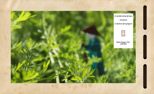 Projects cb12b252842587.591e51180ed66